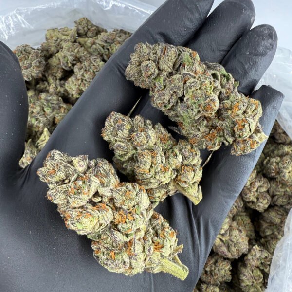 Black Amber THCA Flower - Image 2