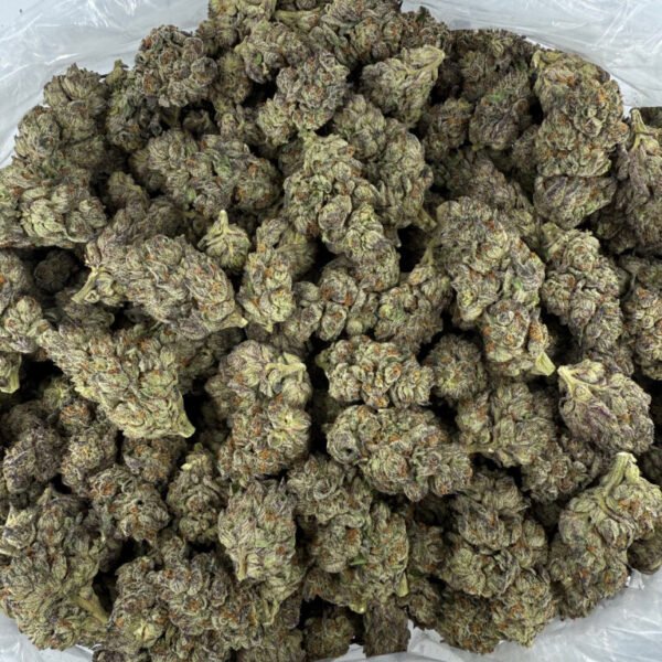 Black Amber THCA Flower - Image 3