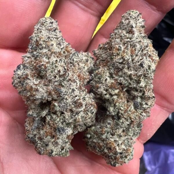 Black Ice Strain THCA Flower