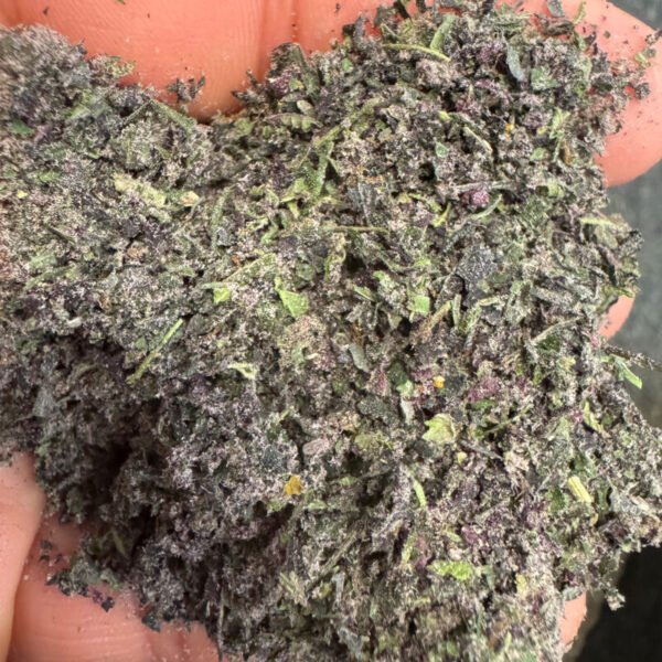 Blackberry Skunk THCA Trim