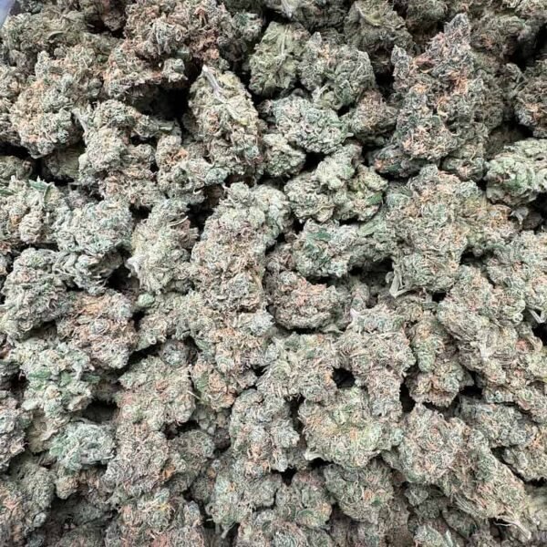 Blue Dream THCA Flower