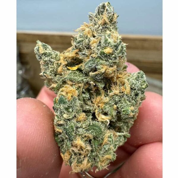 Blue Dream THCA Flower