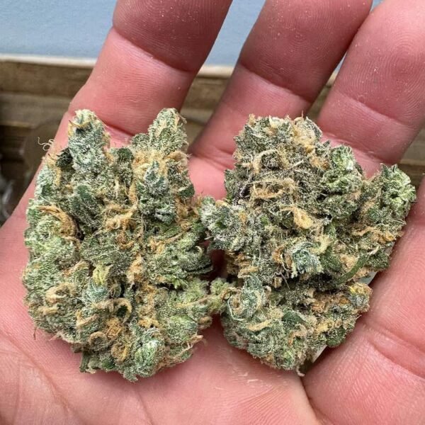 Blue Dream THCA Flower