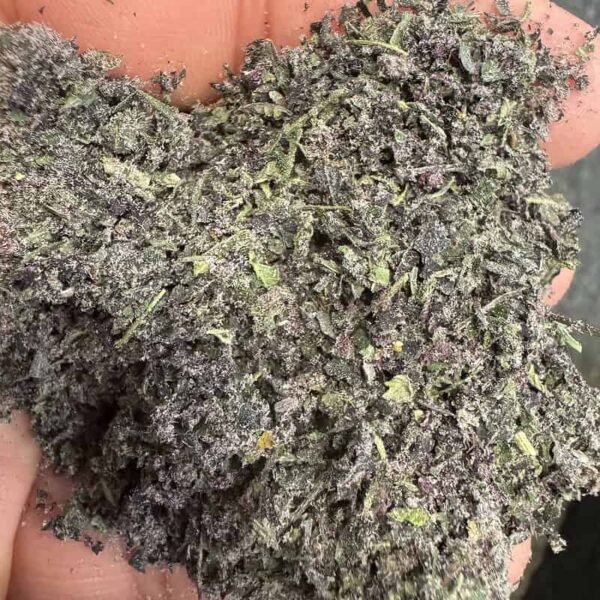 Blueberry Z THCA Shake