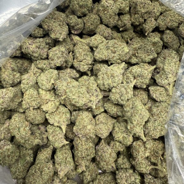 Bubba Kush Strain THCA Flower