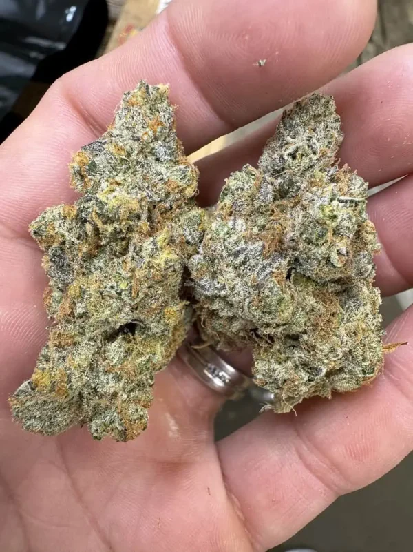 Cap Junky THCA Flower - Image 2