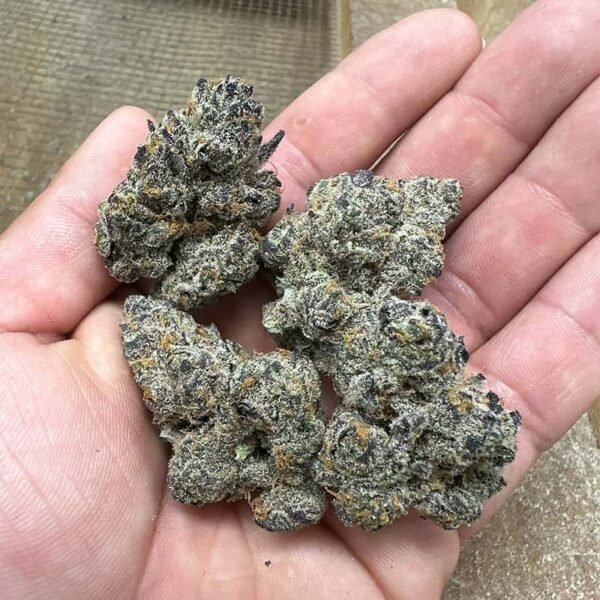 Chimera THCA Flower - Image 2
