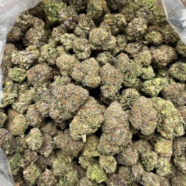 Churro Gelato THCA Flower