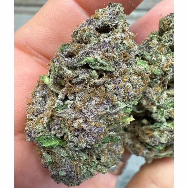 GMO Grapes THCA Flower - Image 3
