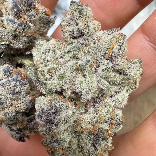 Gary Runtz THCA Flower