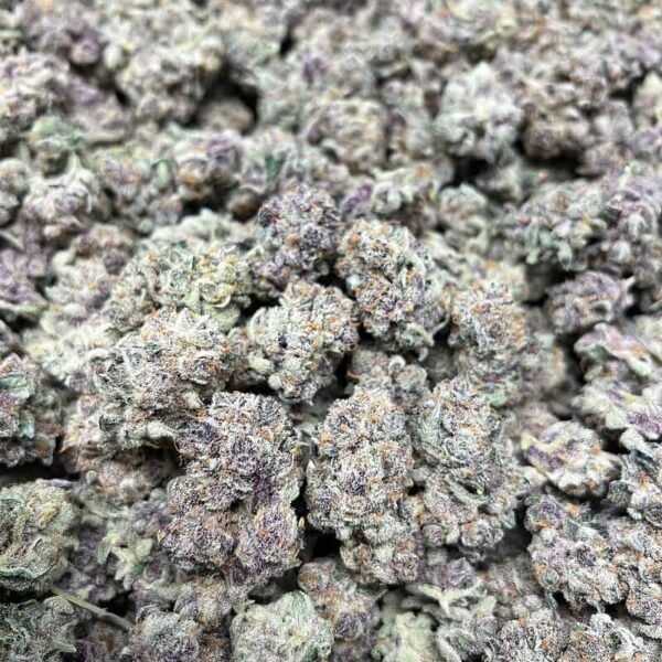 Gary Runtz THCA Flower - Image 4