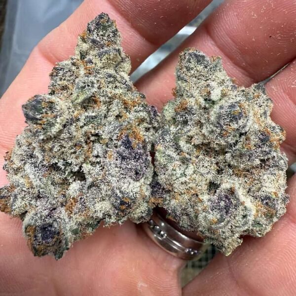 Gary Runtz THCA Flower