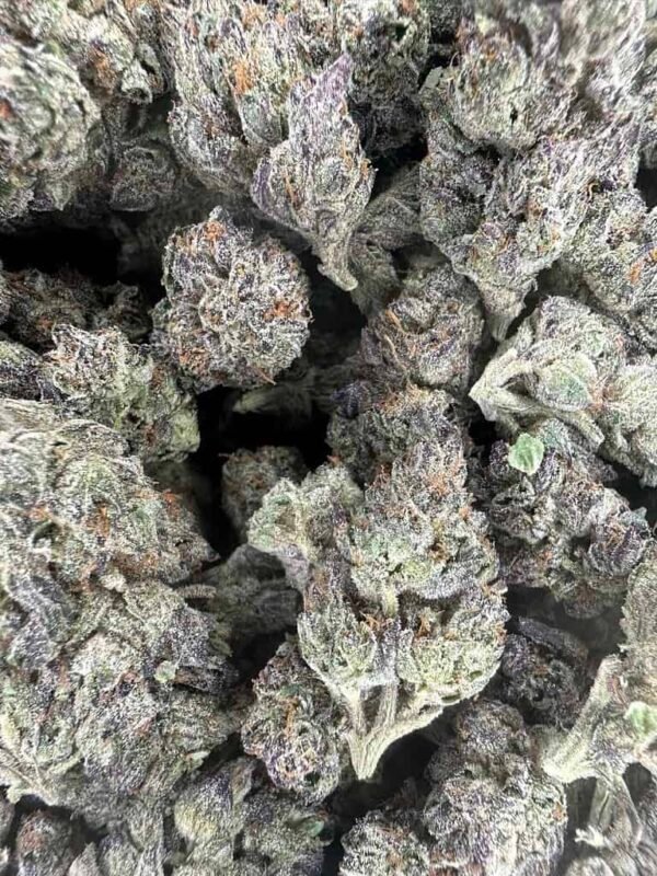 Glitter Bomb THCA Flower