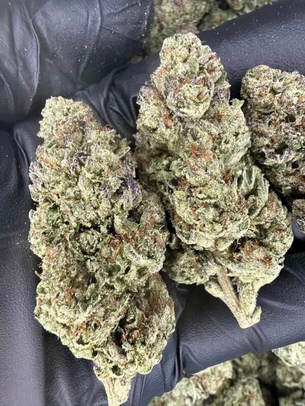 Glitter Bomb THCA Flower