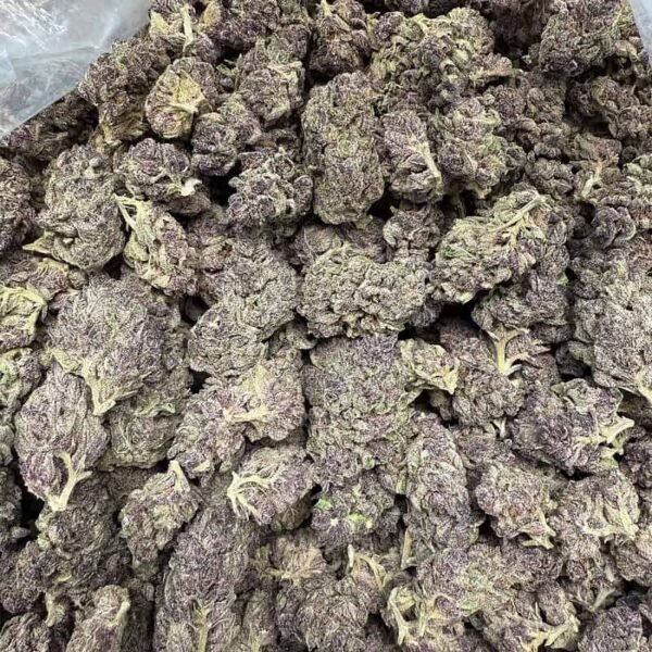 Gorilla Skunk THCA Flower - Image 4