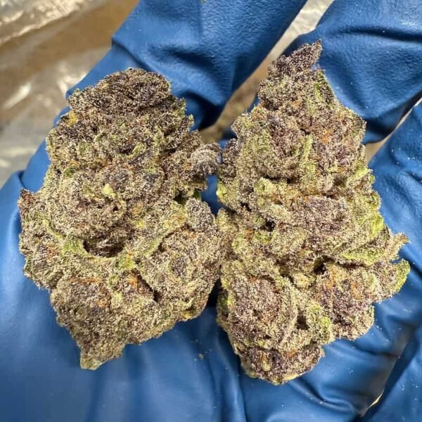 Gorilla Skunk THCA Flower