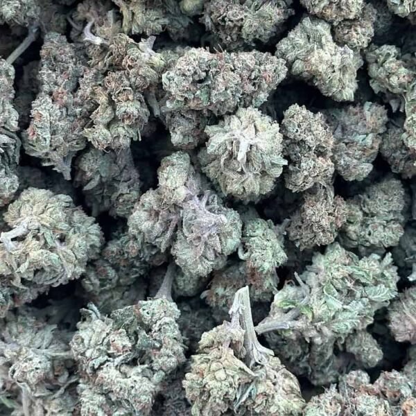 Grape Ape THCA Flower - Image 3