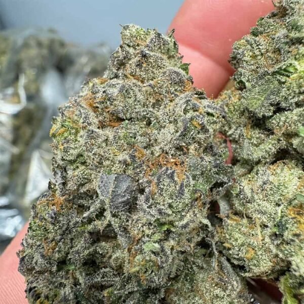 Guava Cookies THCA Flower Pounds