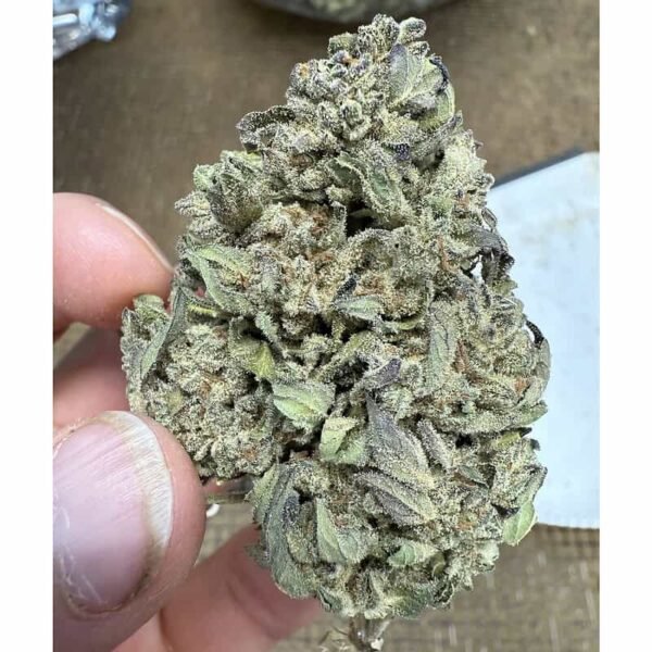 Guava Tartz THCA Flower
