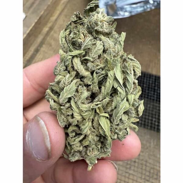 Guava Tartz THCA Flower