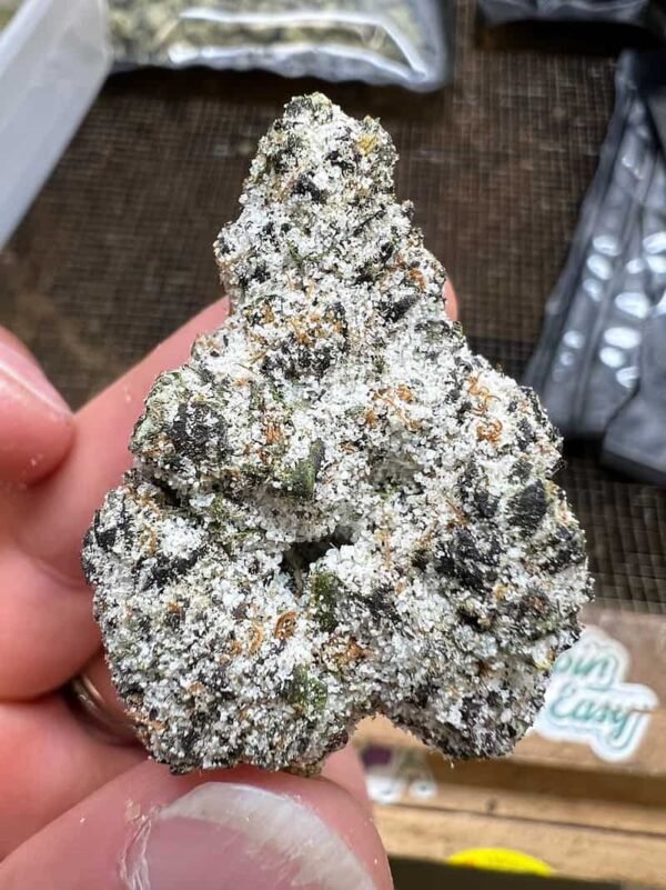Gumbo THCA Snowcaps