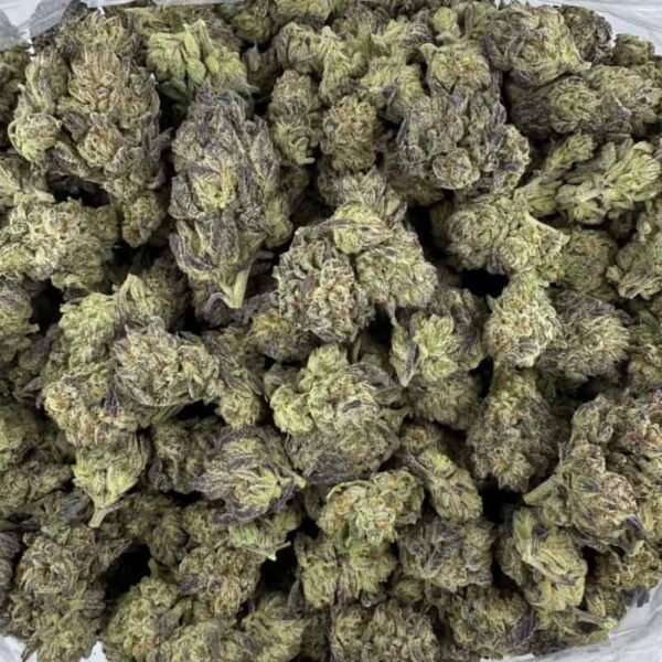Gush Mintz THCA Flower Pounds