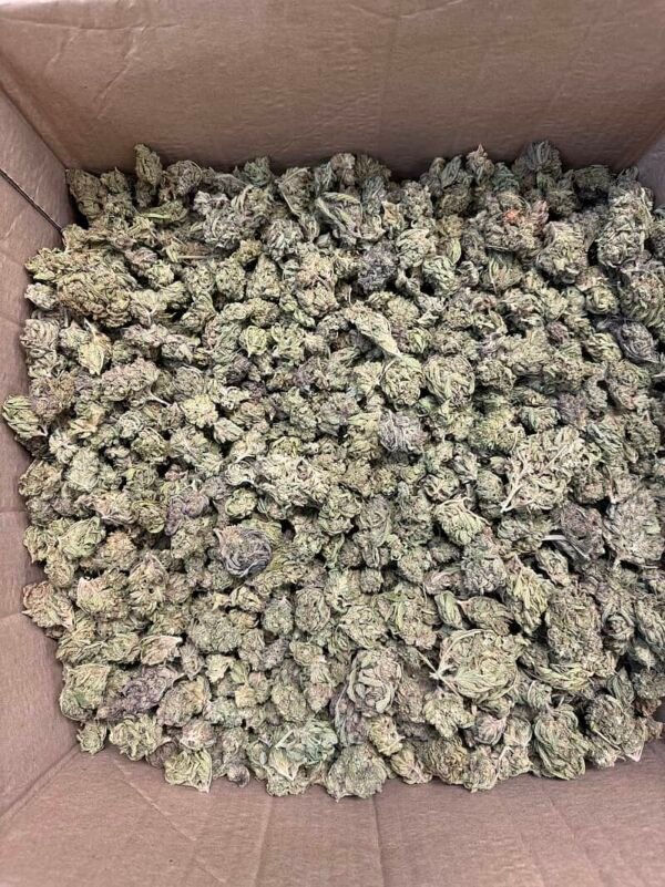 Guava Tartz THCA Flower