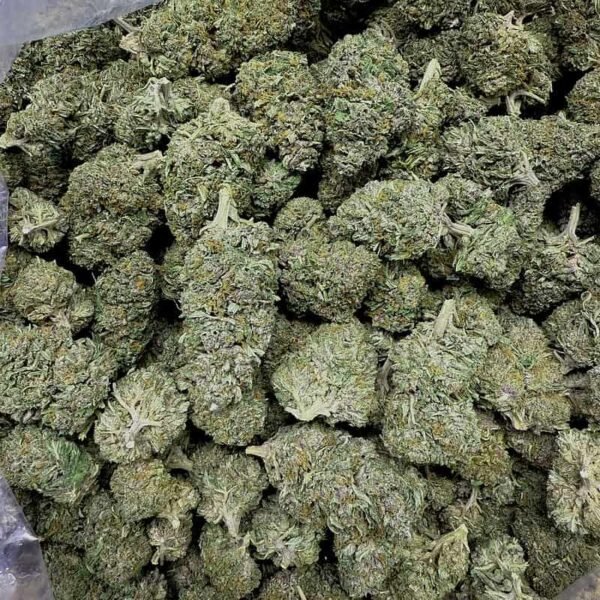 Jager THCA Flower - Image 3