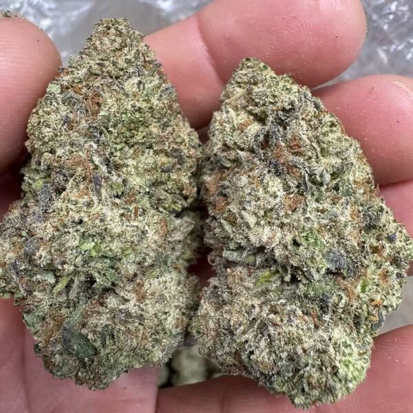Jealousy Strain THCA Flower