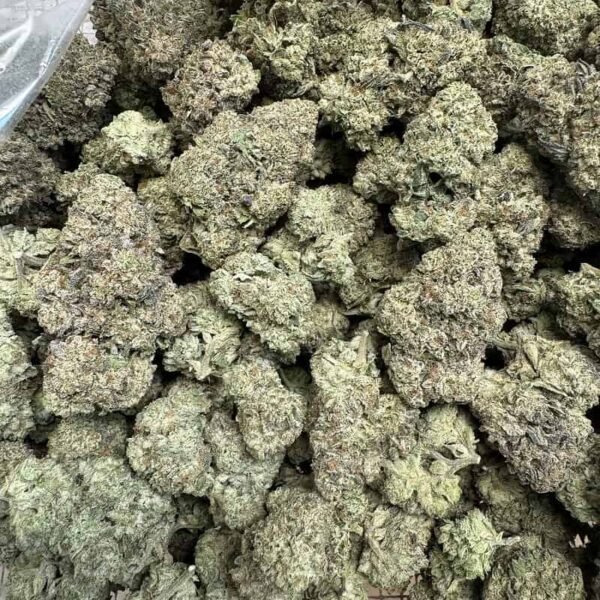 Jealousy Strain THCA Flower
