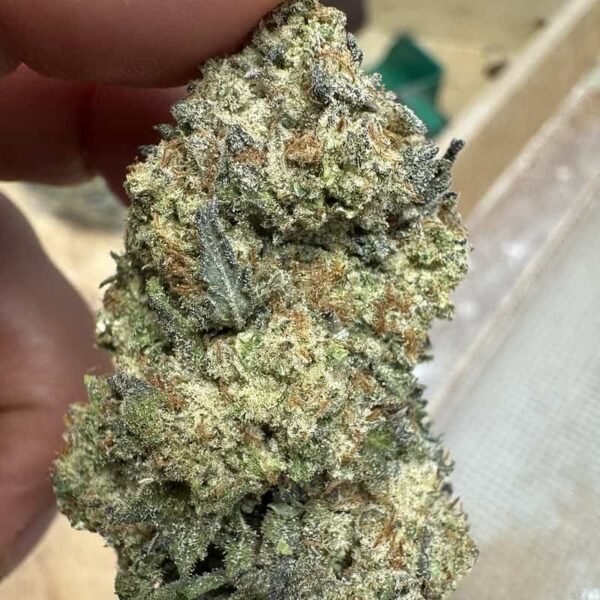 Jealousy Strain THCA Flower