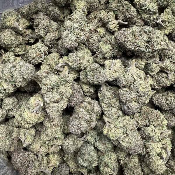 Kush Mintz THCA Flower