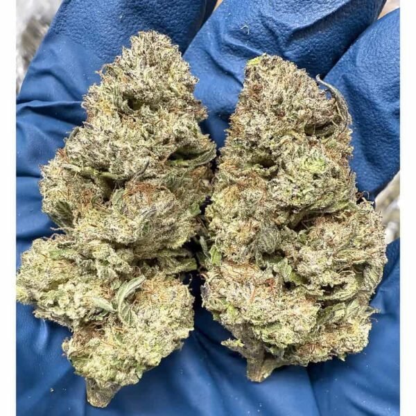 Kush Mintz THCA Flower