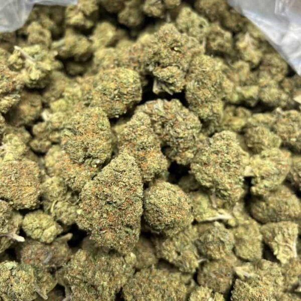 Lemon Cherry Gelato Strain THCA Flower - Image 3