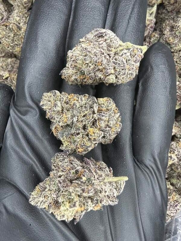 Mendo Breath THCA Flower