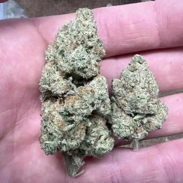 Mimosa THCA Flower