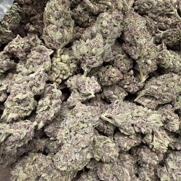 No Drama Llama Strain