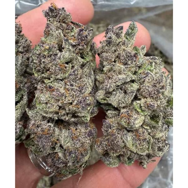 No Drama Llama Strain