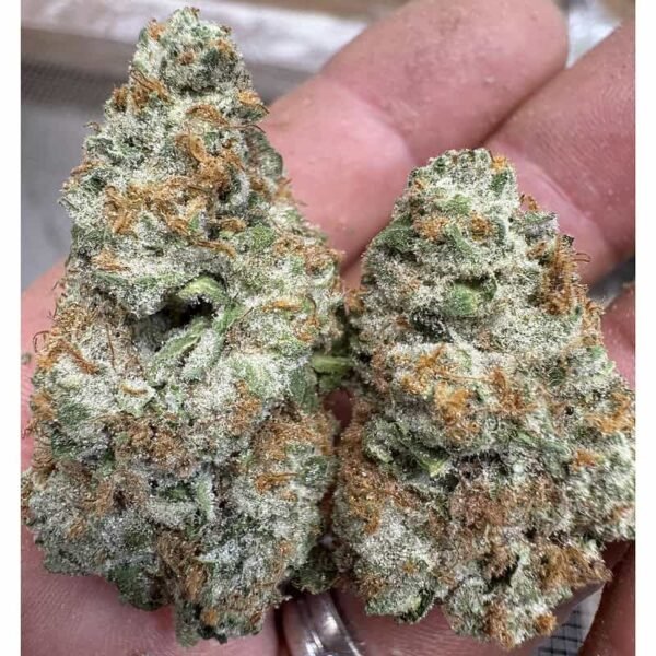 OG Chem THCA Flower