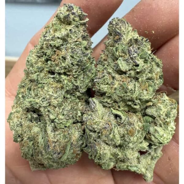 Papaya Punch THCA Flower - Image 3