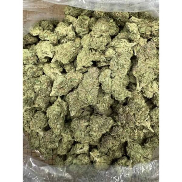 Papaya Punch THCA Flower