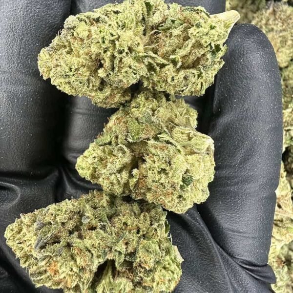 Pineapple Express THCA Flower - Image 3