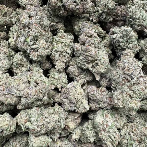 Purple Punch THCA Flower