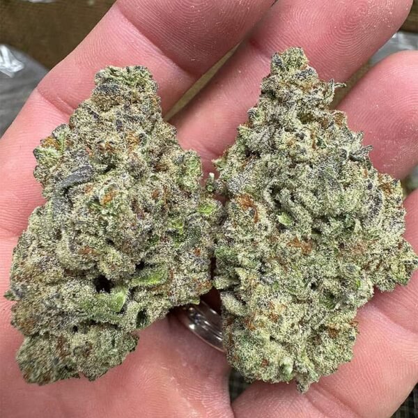 Purple Punch THCA Flower