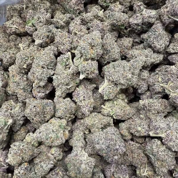Purple Runtz THCA Flower