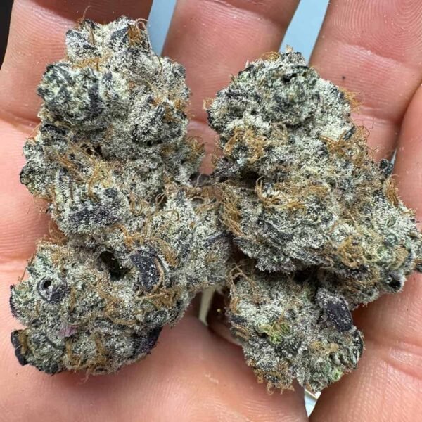Purple Voodoo THCA Flower