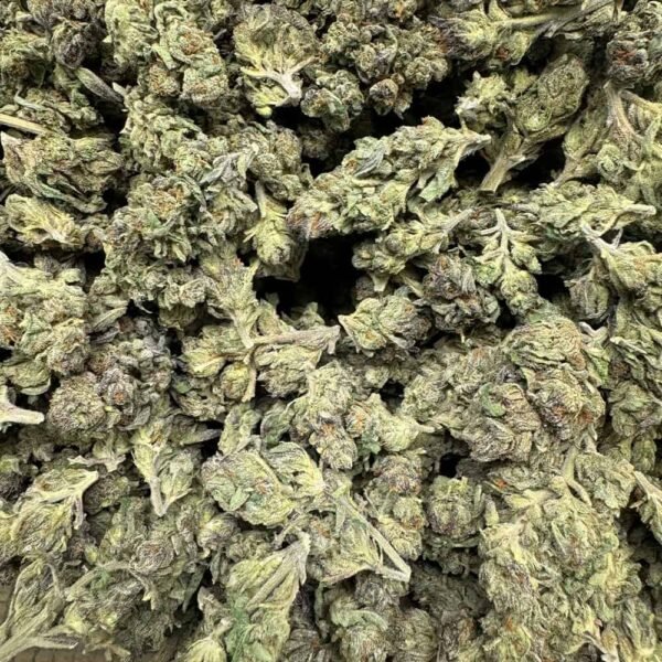 Purple Zkittlez THCA Flower