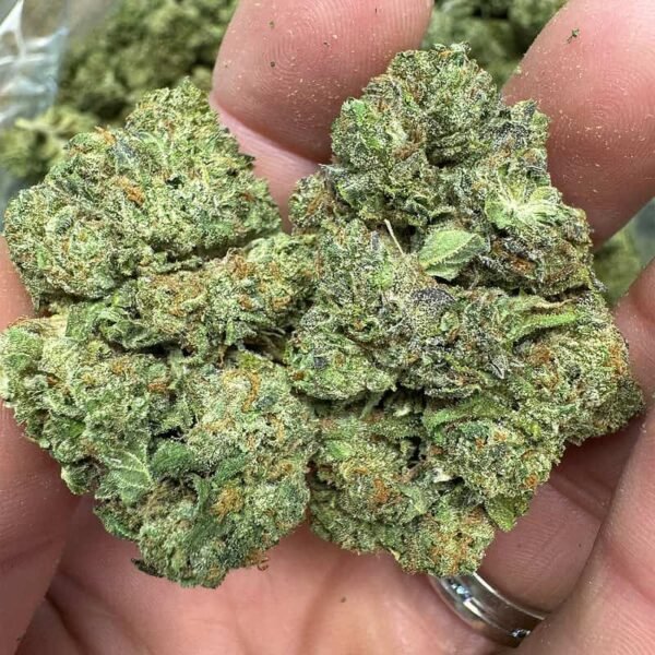 RS11 THCA Flower - Image 3