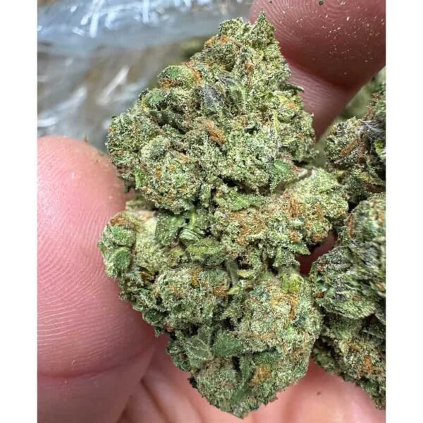 RS11 THCA Flower
