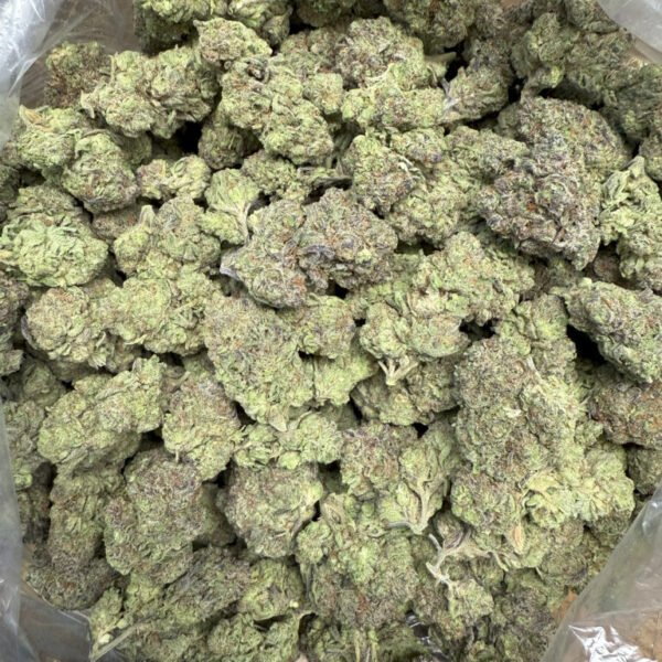 Rudeboi OG THCA Flower